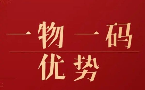 金龍裝飾有哪些防偽技術（金龍裝飾的防偽技術）