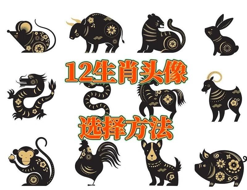 紅龍微信頭像適合哪些生肖（屬龍的人適合用什么微信頭像？）