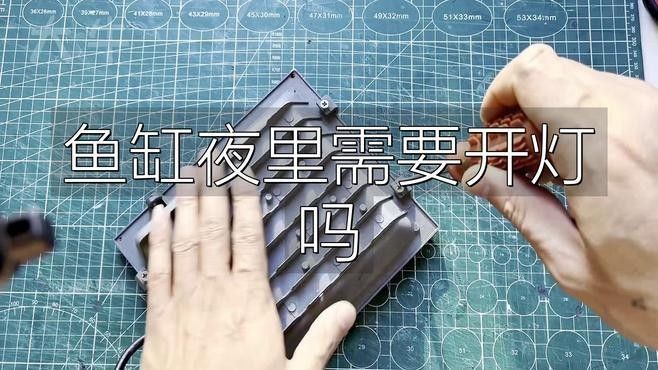 魚缸夜燈會影響魚休息嗎（魚缸夜燈會影響魚的休息嗎）