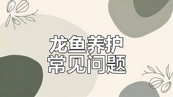 紅龍魚(yú)發(fā)色后如何保養(yǎng)？（原龍工作室-將軍、巴婁,紅龍魚(yú)怎么養(yǎng)容易發(fā)色）