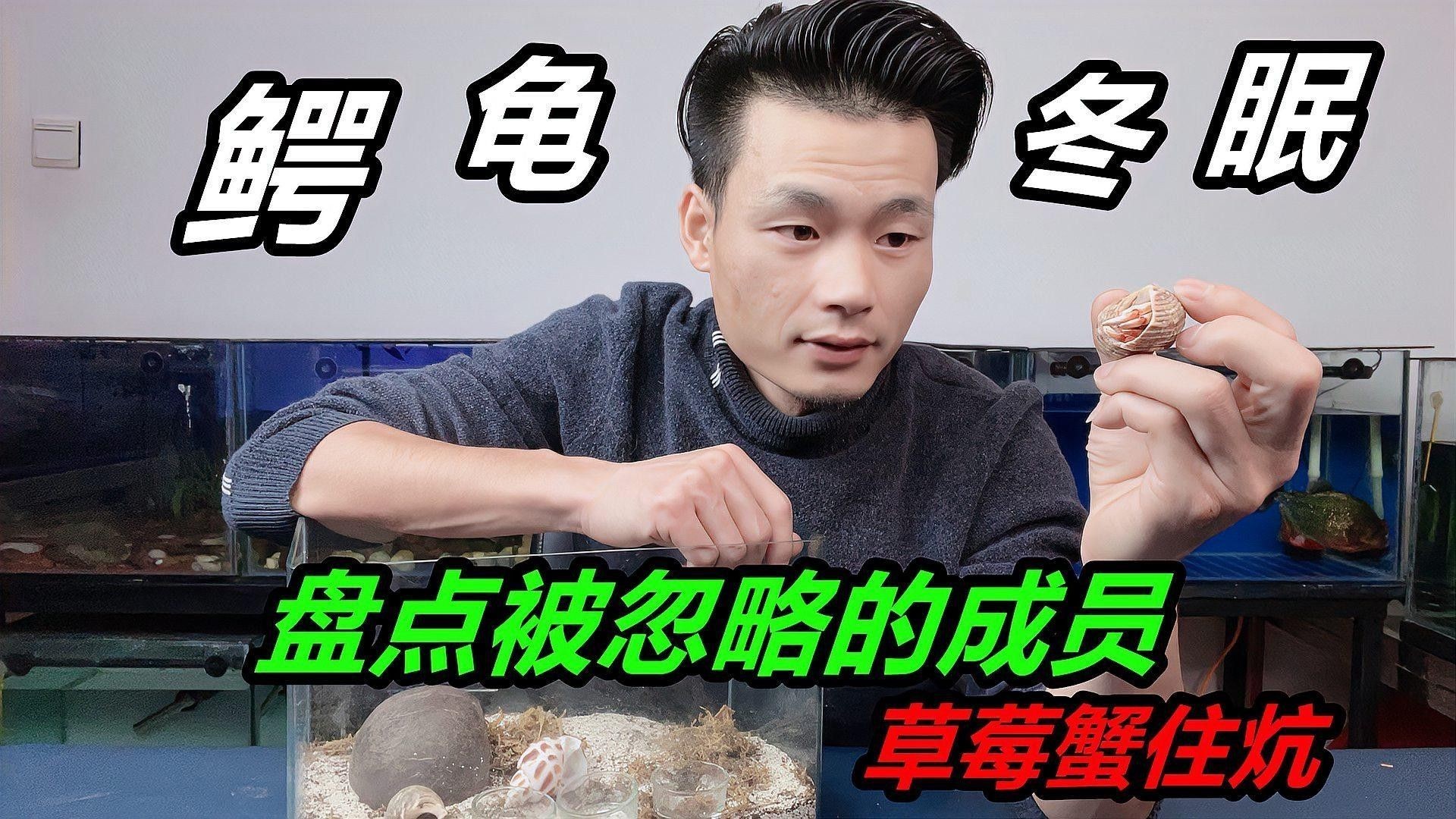 六角恐龍魚冬眠時如何照顧？（六角恐龍魚冬眠時如何照顧六角恐龍魚在冬眠期間的照顧方法）