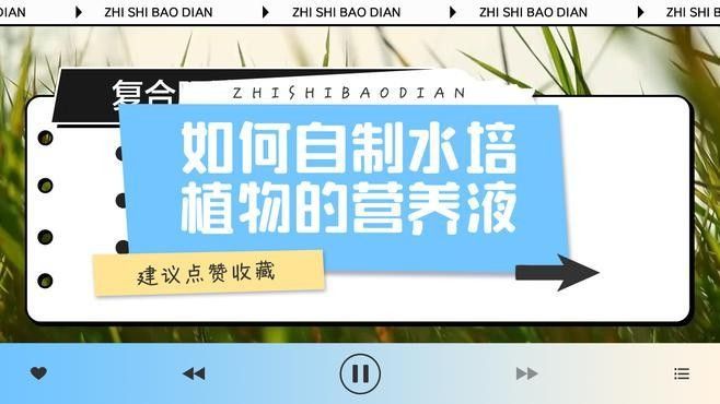 龍魚缸植物施肥頻率（龍魚缸中植物的施肥頻率需根據(jù)植物類型、生長階段及水質(zhì)條件綜合調(diào)整） 龍魚缸植物施肥頻率（龍魚缸中植物的施肥頻率需根據(jù)植物類型、生長階段及水質(zhì)條件綜合調(diào)整） 龍魚百科 第2張