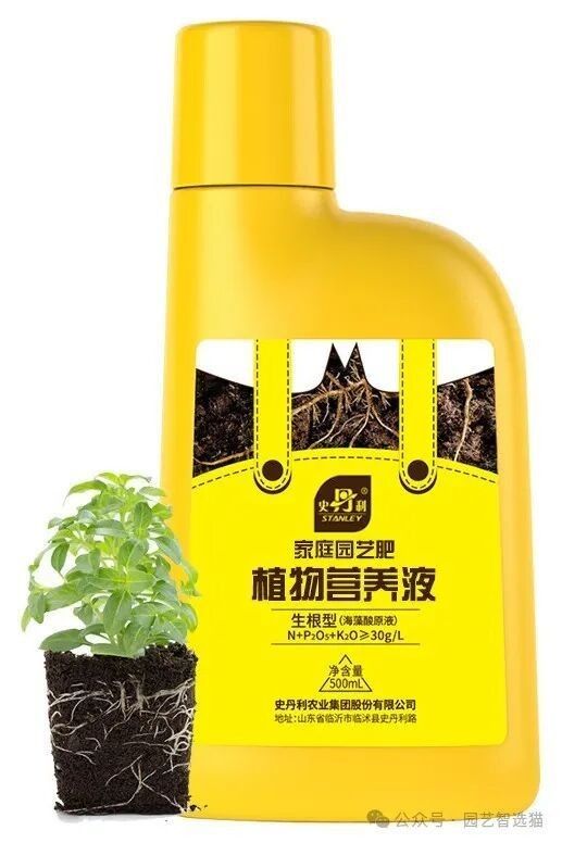龍魚缸植物施肥頻率（龍魚缸中植物的施肥頻率需根據(jù)植物類型、生長階段及水質(zhì)條件綜合調(diào)整） 龍魚缸植物施肥頻率（龍魚缸中植物的施肥頻率需根據(jù)植物類型、生長階段及水質(zhì)條件綜合調(diào)整） 龍魚百科 第3張