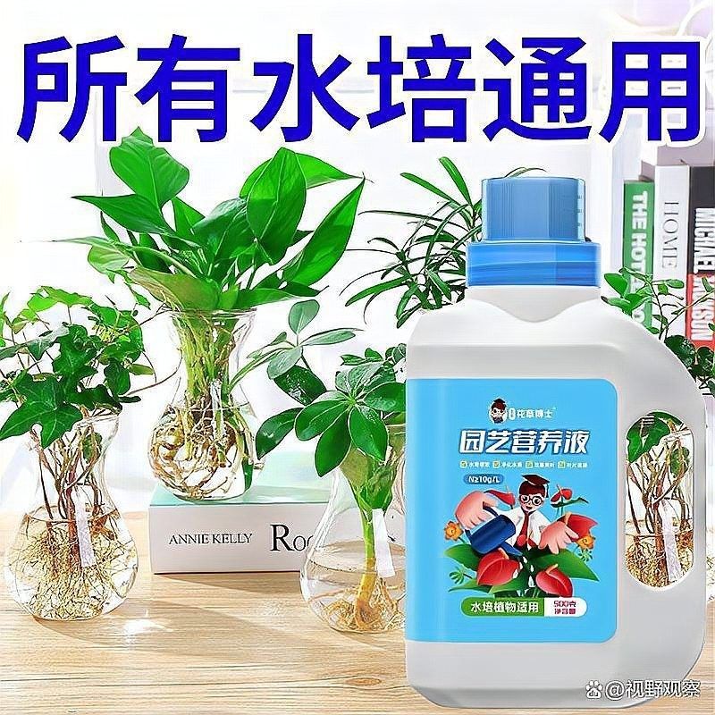 龍魚缸植物施肥頻率（龍魚缸中植物的施肥頻率需根據(jù)植物類型、生長階段及水質(zhì)條件綜合調(diào)整） 龍魚缸植物施肥頻率（龍魚缸中植物的施肥頻率需根據(jù)植物類型、生長階段及水質(zhì)條件綜合調(diào)整） 龍魚百科 第5張