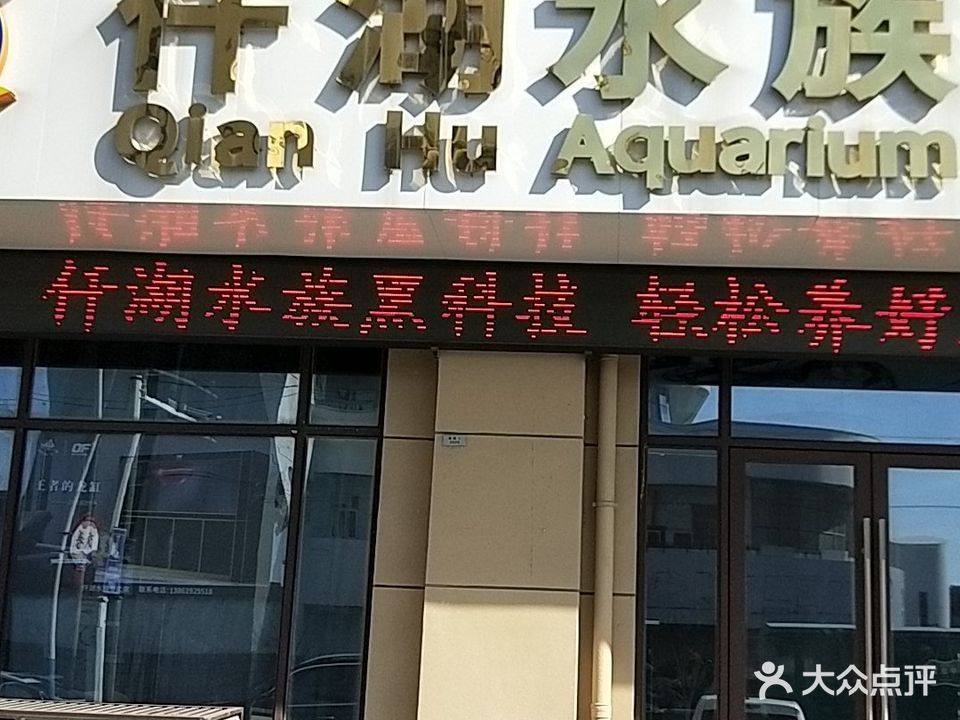 如皋哪個水族館龍魚好？祥龍魚場龍魚（如皋市祥龍魚場）