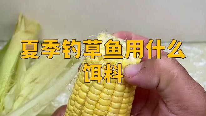 有沒有釣草魚的經典配方？（夏季草魚餌料配方） 有沒有釣草魚的經典配方？（夏季草魚餌料配方） 龍魚百科 第3張