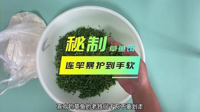 有沒有釣草魚的經典配方？（夏季草魚餌料配方） 有沒有釣草魚的經典配方？（夏季草魚餌料配方） 龍魚百科 第1張