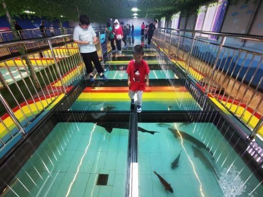 還有哪些地區(qū)養(yǎng)殖鱘龍魚（養(yǎng)殖鱘龍魚的地區(qū)）