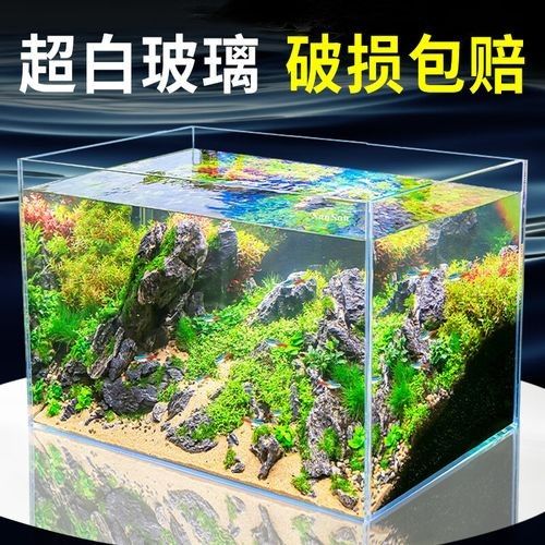 哪個品牌的魚缸最耐用？（哪個品牌的魚缸最耐用）