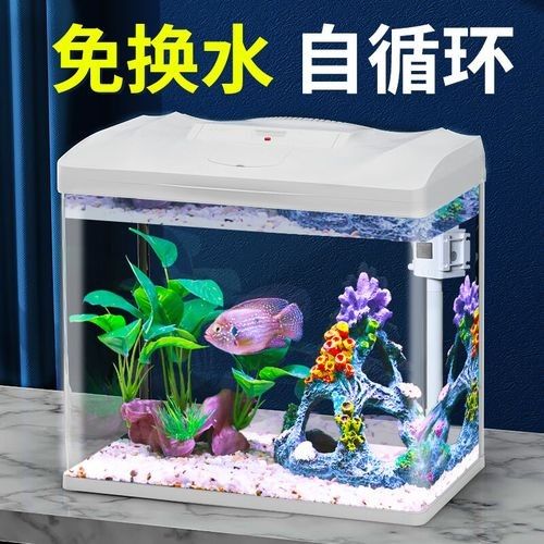 哪個品牌的魚缸最耐用？（哪個品牌的魚缸最耐用）