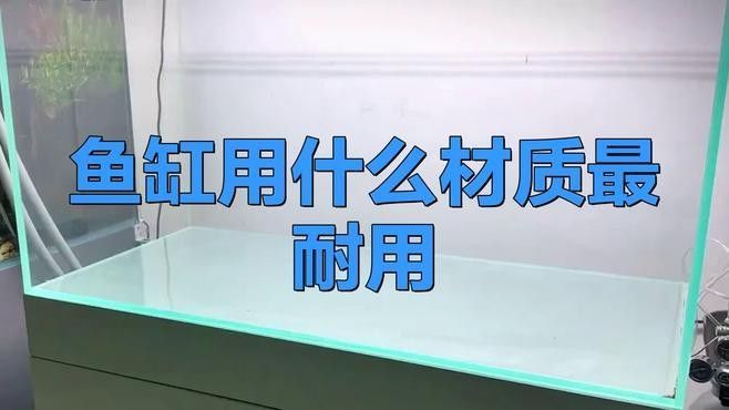 哪個品牌的魚缸最耐用？（哪個品牌的魚缸最耐用）
