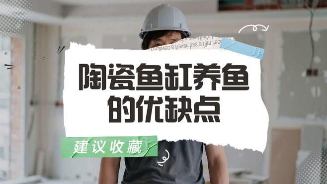 哪個品牌的魚缸最耐用？（哪個品牌的魚缸最耐用）