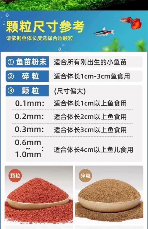 小龍魚吃什么飼料最好？（關于小龍魚最好吃什么飼料的一些建議龍魚吃什么最好）