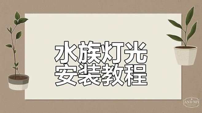 龍魚缸燈光擺放位置圖解（——龍魚燈光擺放位置圖解）