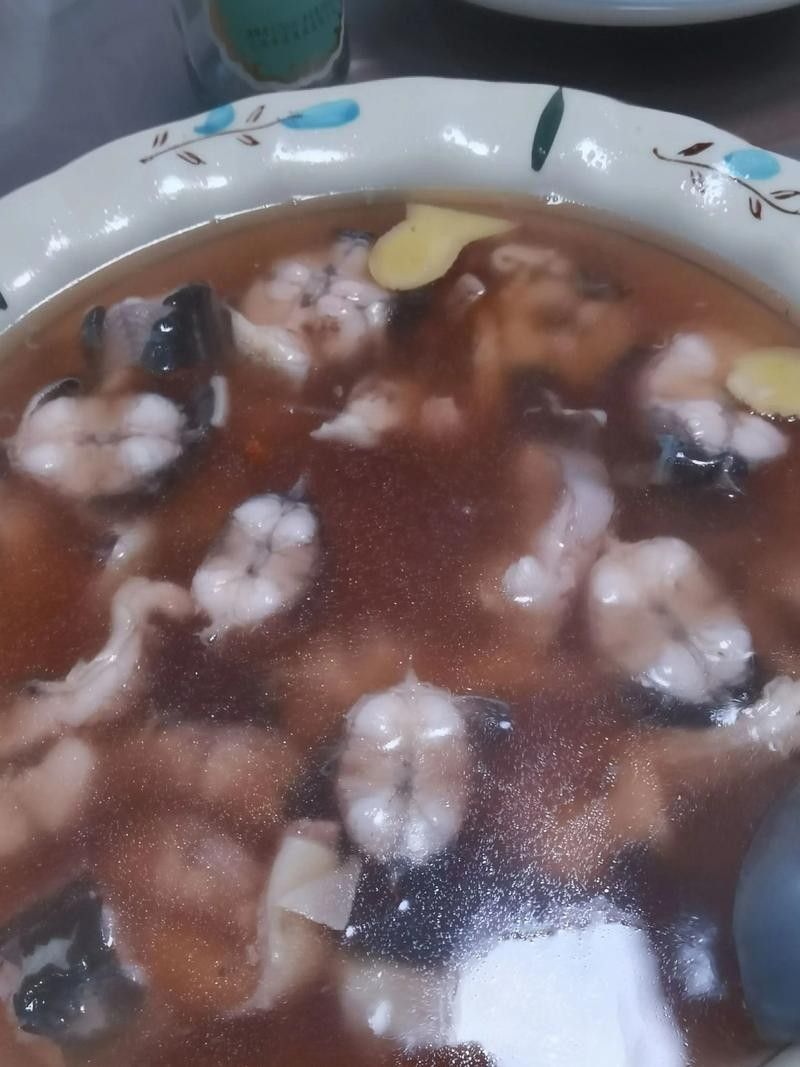 淡水土龍魚的價格（土龍魚價格多少一斤）