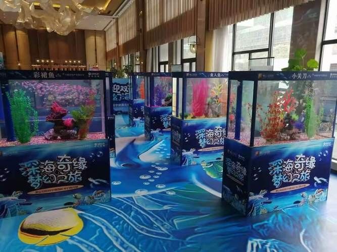 江陰市夏港龍魚水族館的營業時間是（江陰市夏港龍魚水族館的營業時間是多久？）