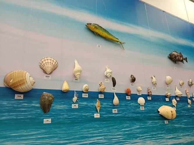 江陰市夏港龍魚水族館的營業(yè)時(shí)間是（江陰市夏港龍魚水族館的營業(yè)時(shí)間是多久？）