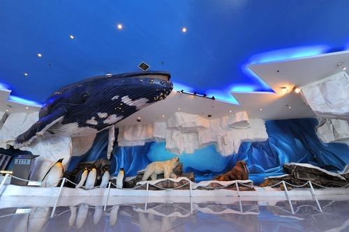 江陰市夏港龍魚水族館的營業時間是（江陰市夏港龍魚水族館的營業時間是多久？）