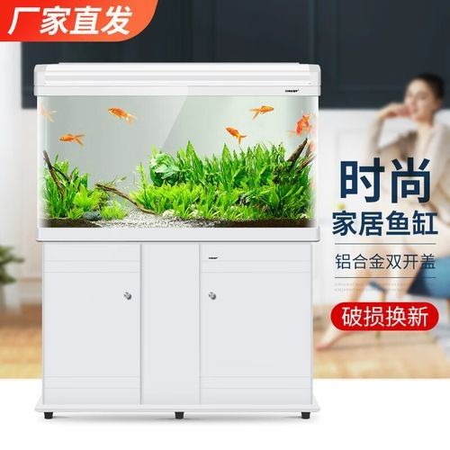 博宇龍魚缸的用戶評價如何（博宇龍魚缸水族箱品牌排行榜博宇龍魚缸水族箱評價）