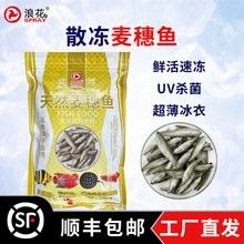 濟南龍魚市場的價格水平如何（濟南龍魚市場價格水平如何）