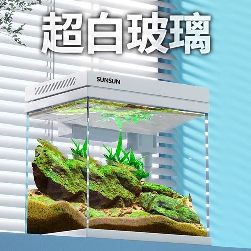 森森龍魚缸有哪些型號推薦