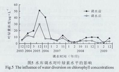 工筆畫金龍魚白描：工筆畫中的金龍魚白是否融入了中國傳統美學的元素