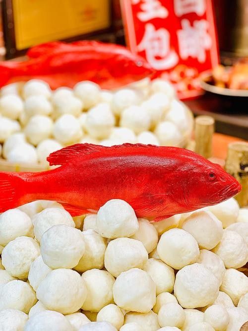 汕頭紅雙魚 汕頭紅雙魚 觀賞魚百科 第2張