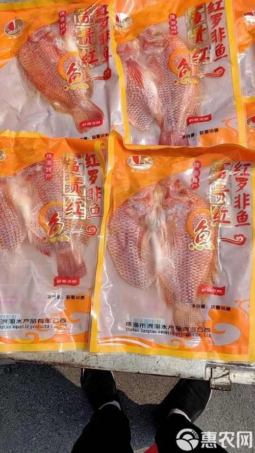 汕頭紅雙魚 汕頭紅雙魚 觀賞魚百科 第4張