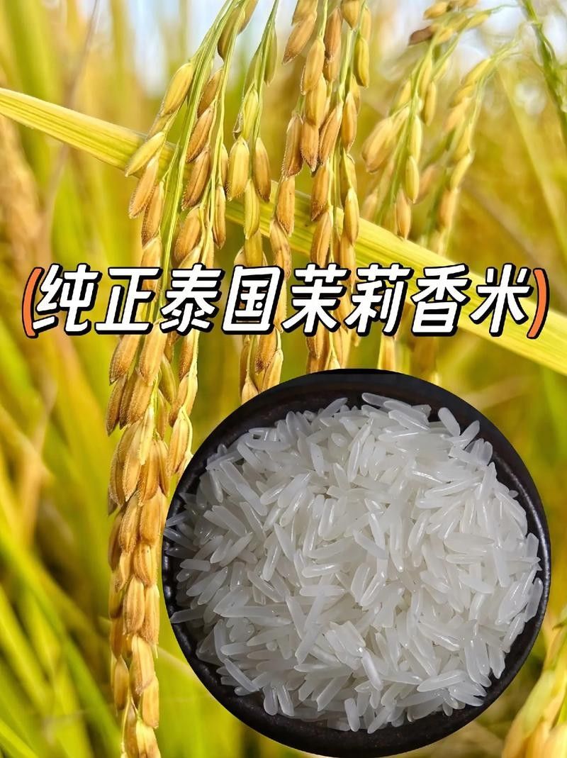 金龍魚泰國香米有哪些促銷活動（泰國香米哪個牌子好吃泰國香米哪個牌子好吃）