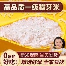 金龍魚泰國香米有哪些促銷活動（泰國香米哪個牌子好吃泰國香米哪個牌子好吃）