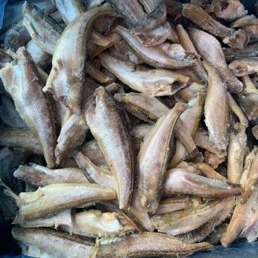 如何聯系到四川龍魚基地？（四川龍魚基地與四川龍魚相關的基地或企業可通過以下方式聯系）