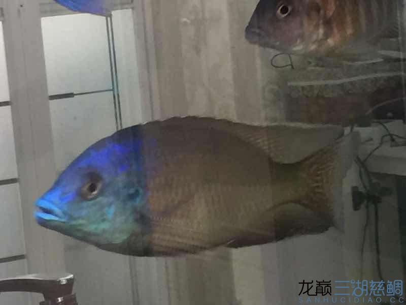 很久沒上圖了（——數字藝術的未來趨勢）