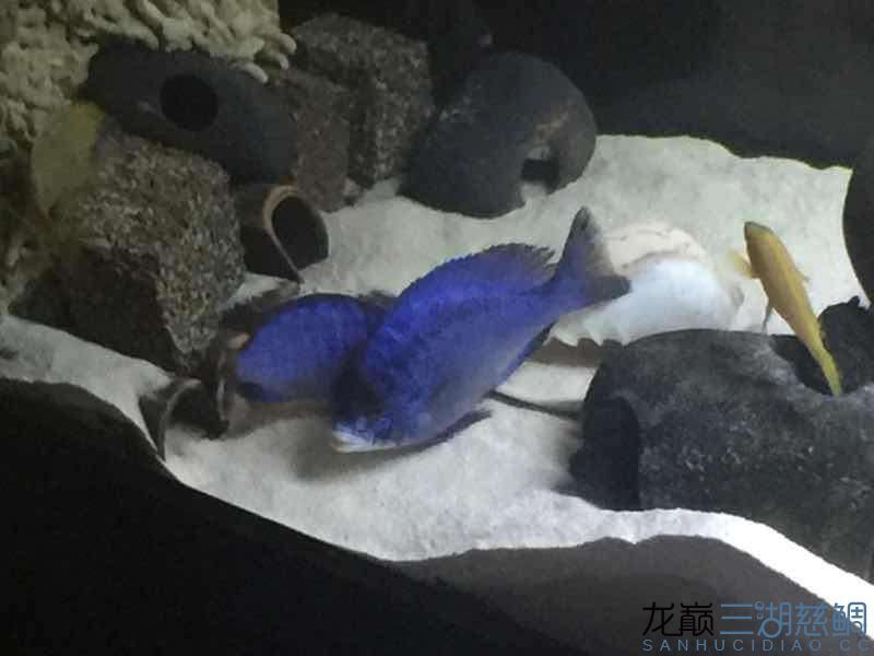 很久沒上圖了（——數字藝術的未來趨勢）