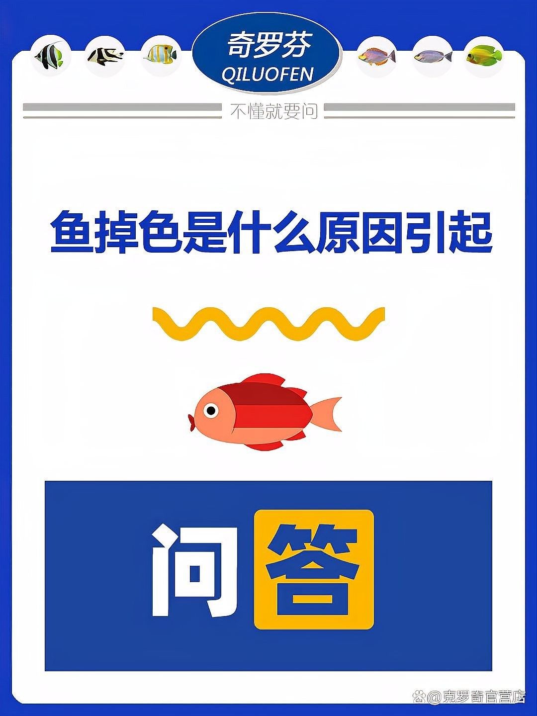 哪些因素會影響過背金龍魚發色？（過背金龍魚發色是什么原因引起克羅奇官營店龍魚“褪色”原因）
