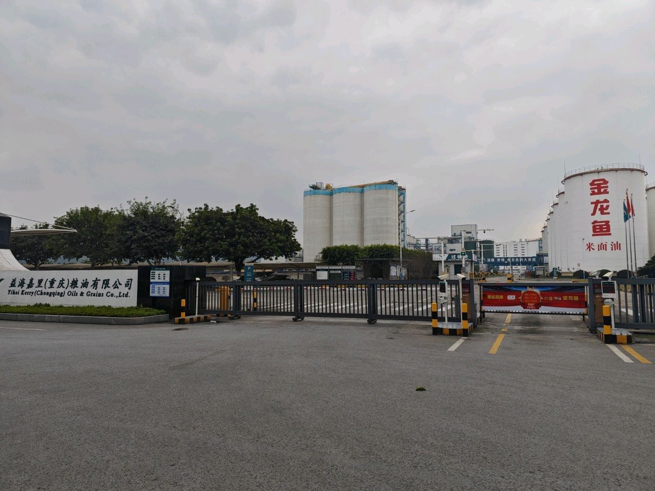 金龍魚重慶工廠地址（金龍魚重慶工廠的聯系方式是什么金龍魚重慶工廠的主要產品有哪些）