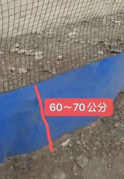 哪種混養方案最成功（關于魚鱉混養的一些建議）