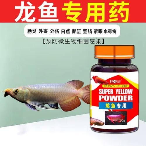 龍魚萬能藥有哪些品牌推薦（魚萬能藥品牌推薦）
