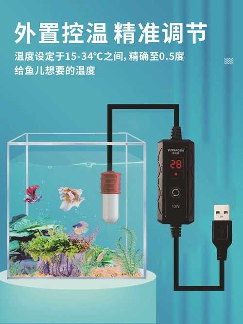 匯龍魚缸加熱器如何選擇（大鵬玩咖測評局：匯龍魚缸加熱器如何選擇合適的加熱器）