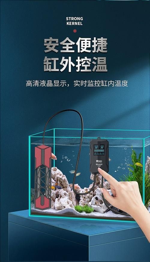 匯龍魚缸加熱器如何選擇（大鵬玩咖測評局：匯龍魚缸加熱器如何選擇合適的加熱器）