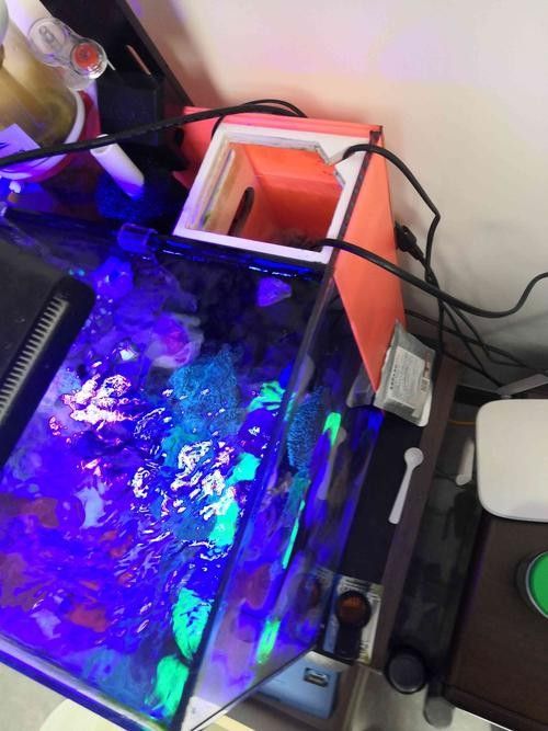 匯龍魚缸加熱器如何選擇（大鵬玩咖測評局：匯龍魚缸加熱器如何選擇合適的加熱器）
