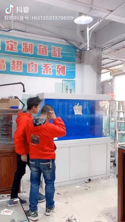 萊蕪龍魚專賣店：濟南市萊蕪區哪里有賣魚缸的？