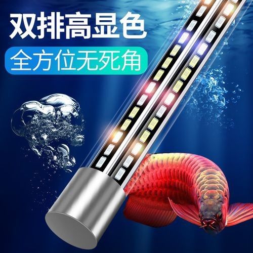 龍魚燈管哪個品牌好（水族箱造景燈選擇）