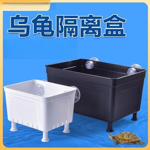隔離盒哪種材質最好？（養龜用的隔離盒這么多,你真的選對了嗎）