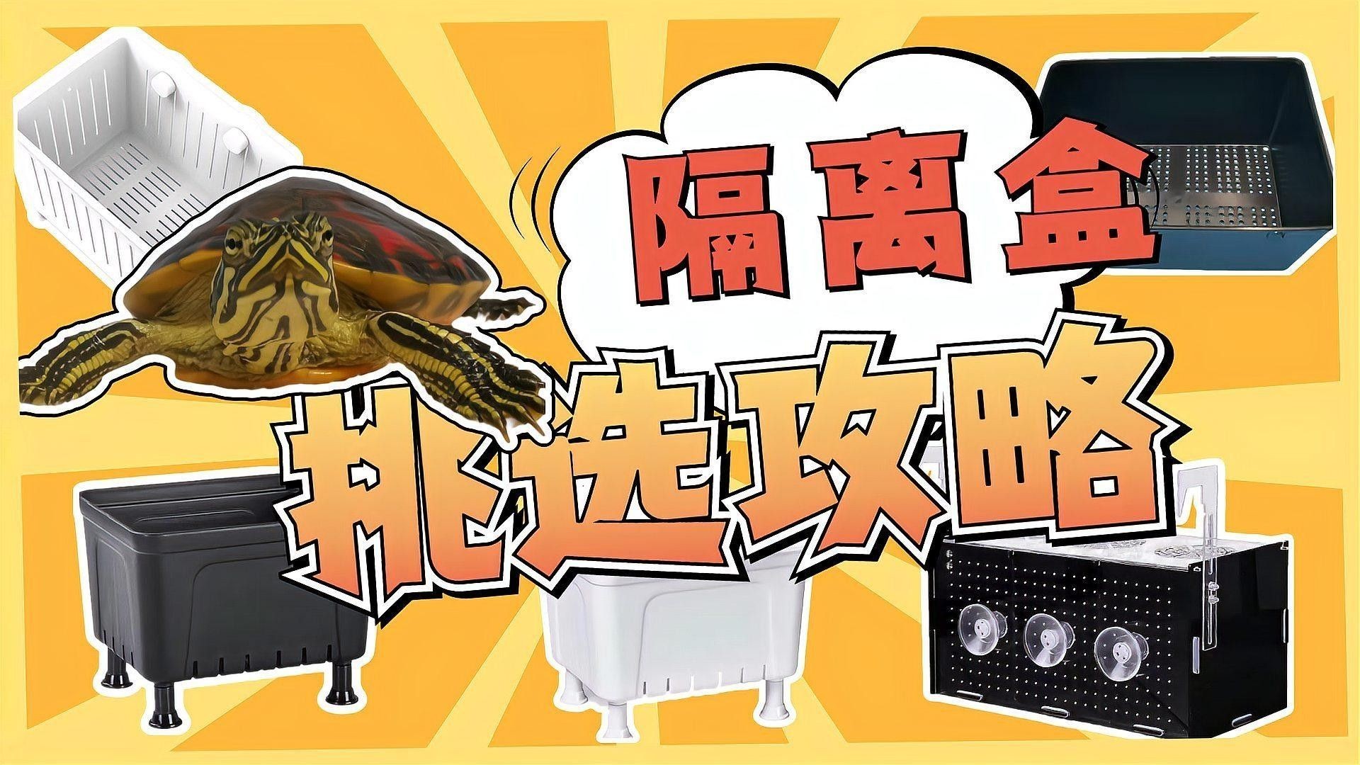 隔離盒哪種材質最好？（養龜用的隔離盒這么多,你真的選對了嗎）