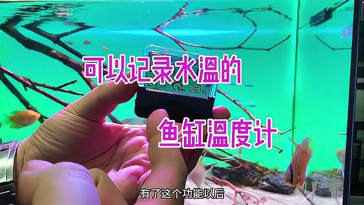 金龍魚溫度計(jì)推薦（金龍魚溫度計(jì)排行榜京東水族溫度計(jì)排行榜京東水族溫度計(jì)排行榜）