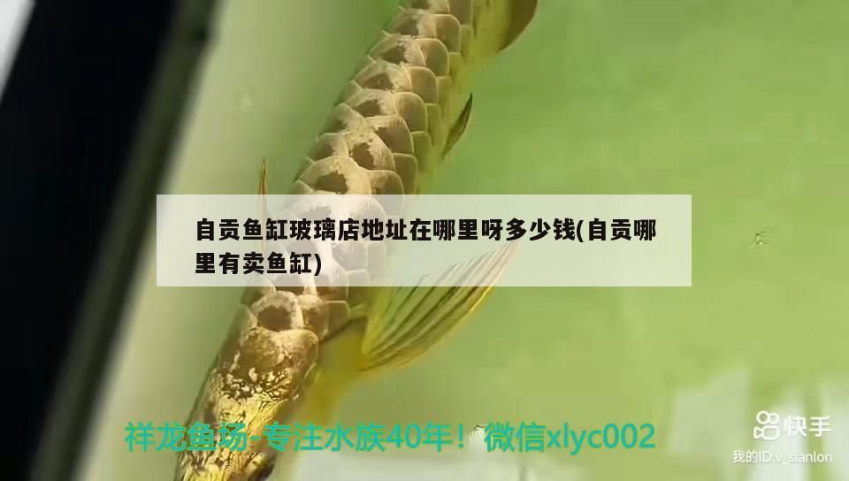 祥龍魚場有提供龍魚視頻嗎？，全球首家cites商業繁殖許可的龍魚養殖場