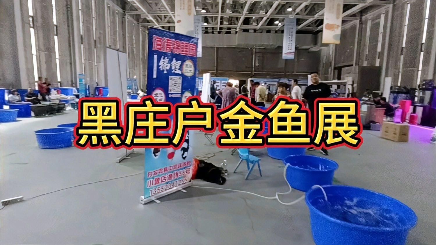 朝陽縣哪個水族館龍魚好？祥龍魚場龍魚