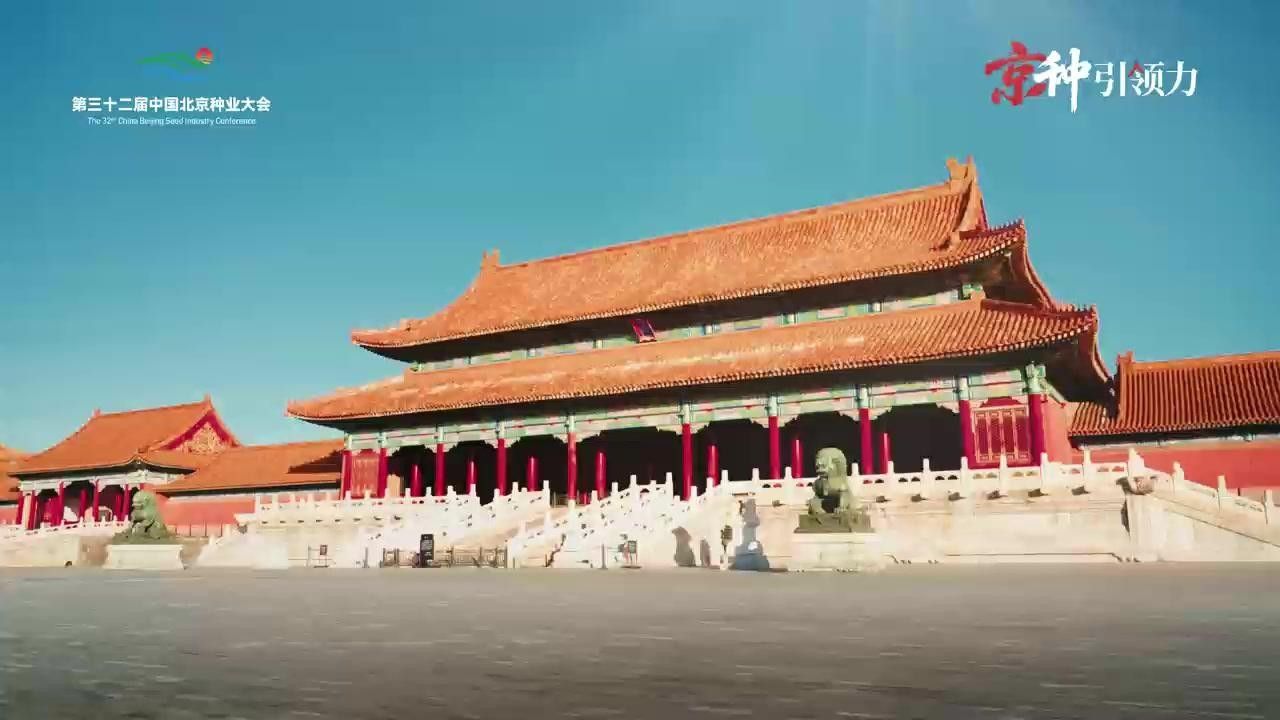 朝陽縣哪個水族館龍魚好？祥龍魚場龍魚