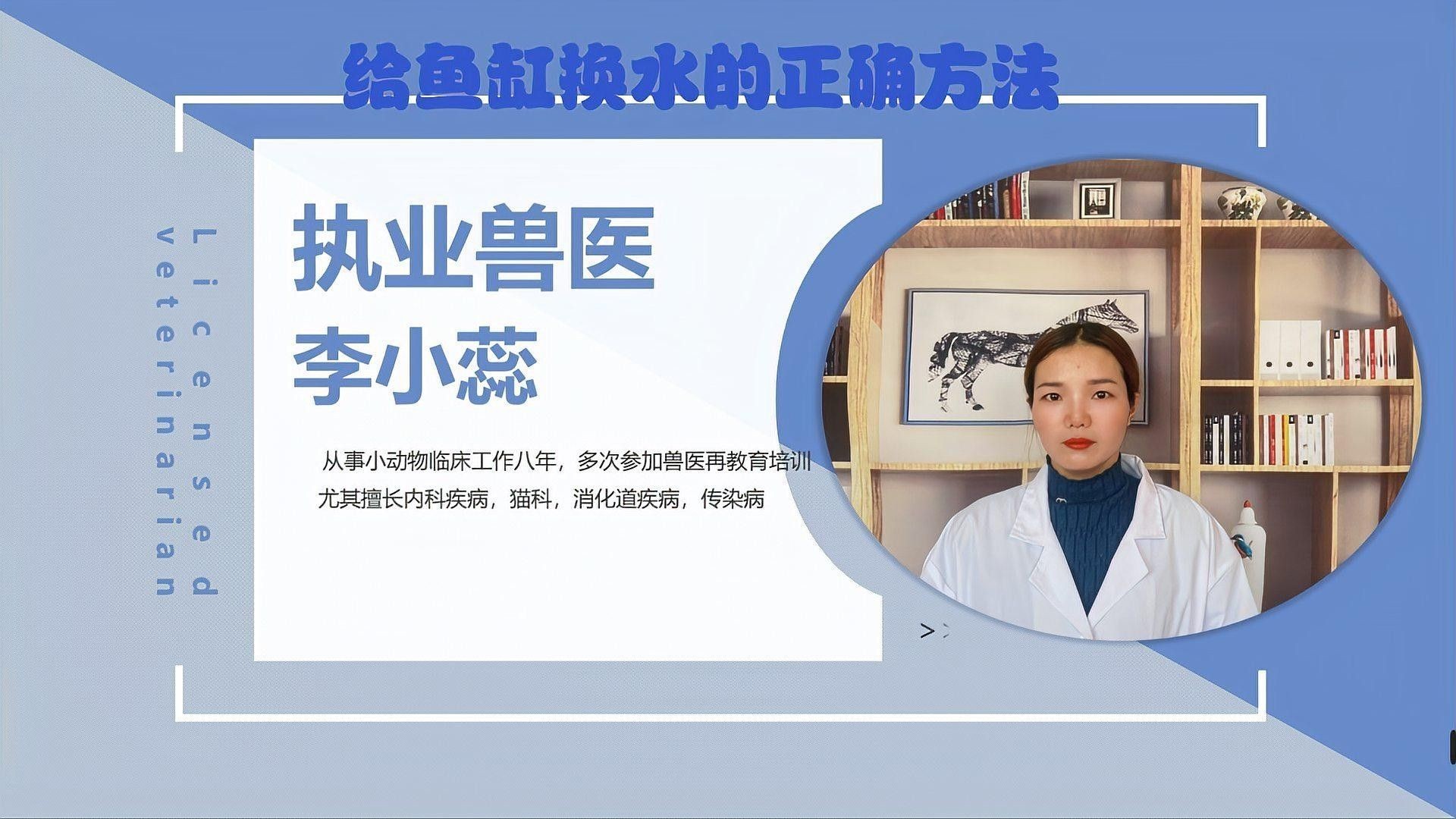 如何判斷龍頭魚擺件是否需要換水