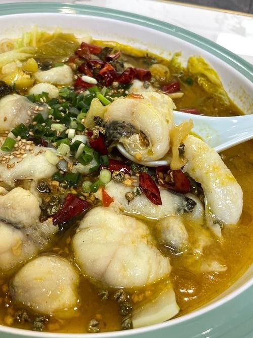 龍錦軒魚店的價格如何？（龍錦軒魚店價格如何）